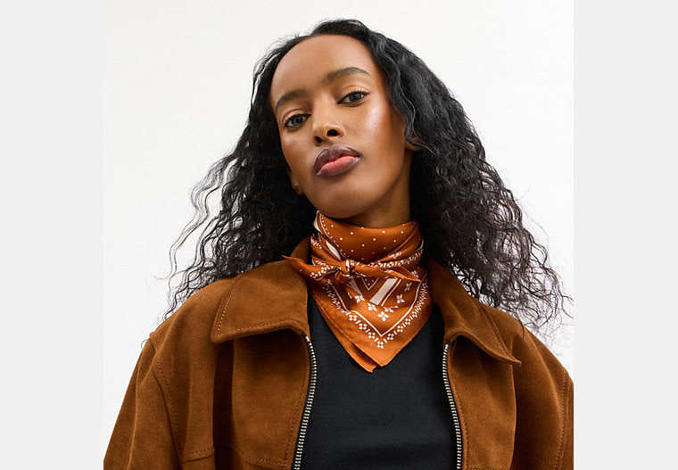 Horse And Carriage Dot Print Silk Bandana