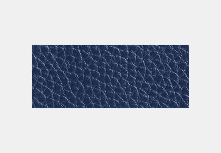Passport Card Case With Car Print