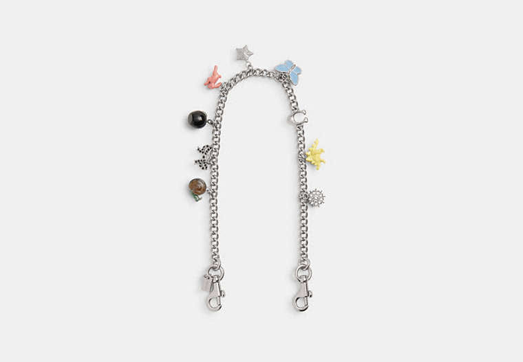 Chain Strap With Charms