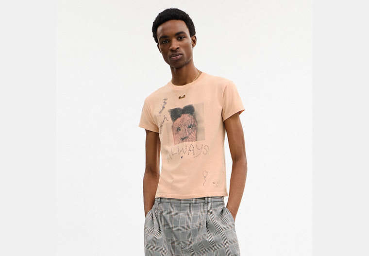 Carroty Shrunken T-Shirt In Organic Cotton