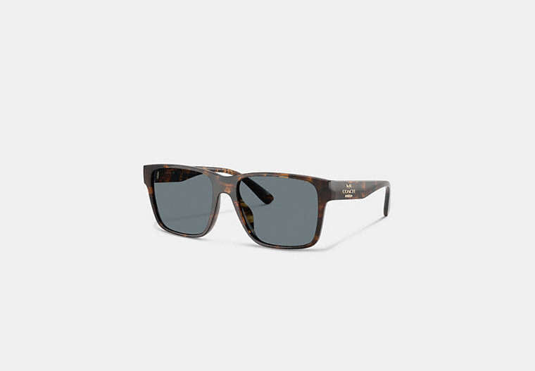 Square Sunglasses