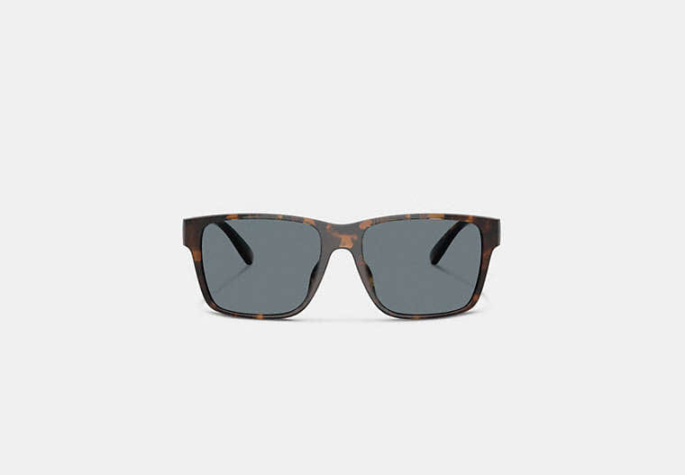Square Sunglasses