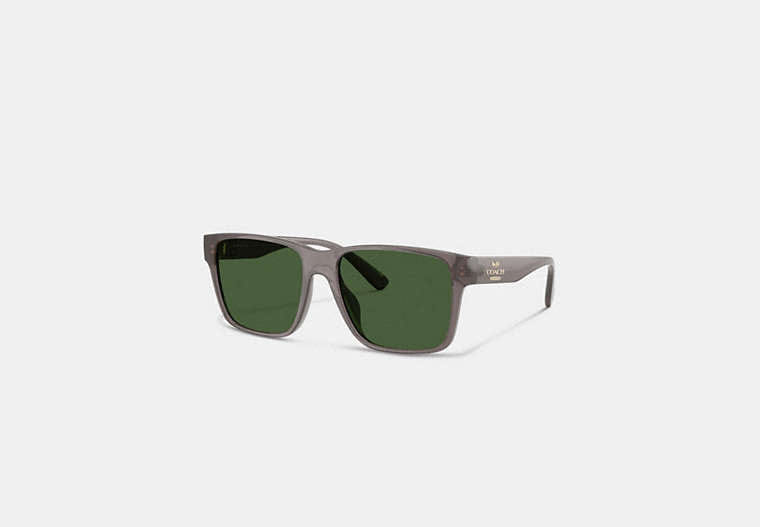 Square Sunglasses