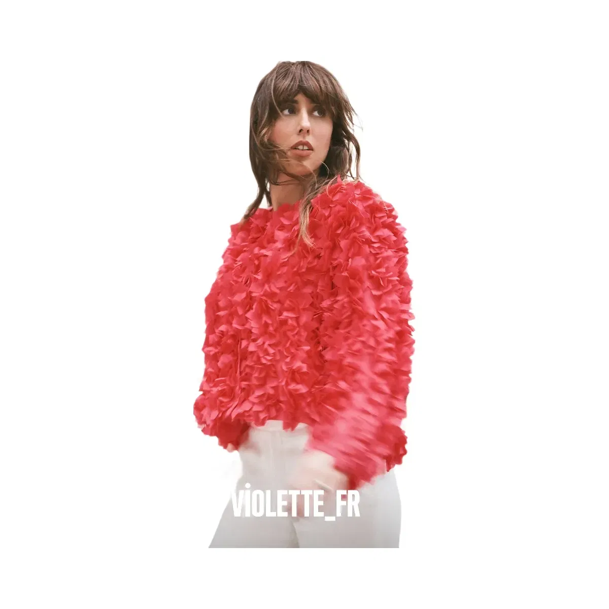 Violette_FR Plume Lip - Chataigne Grillee