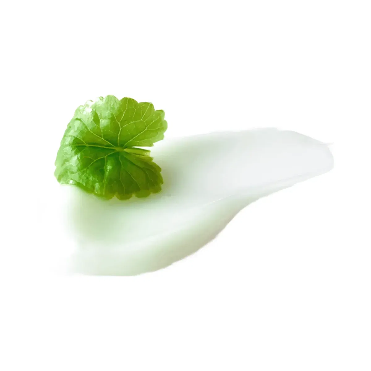 Beauty of Joseon Light On Serum: Centella + Vita C