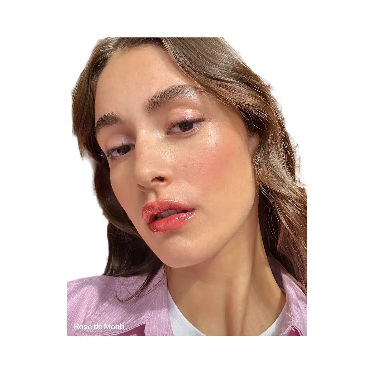Violette_FR Lip Nectar - Rose de Moab