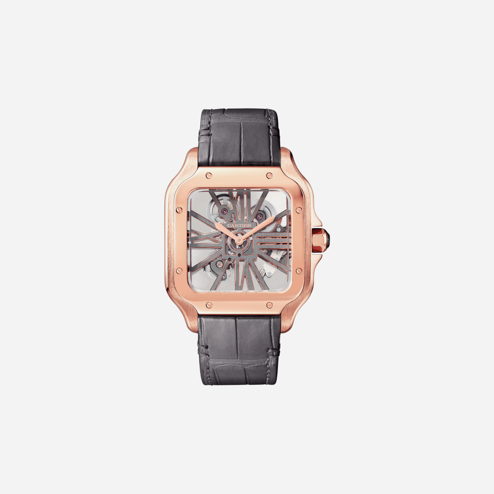 Cartier Santos De Cartier Skeleton Dial Leather Strap Watch - WHSA0018