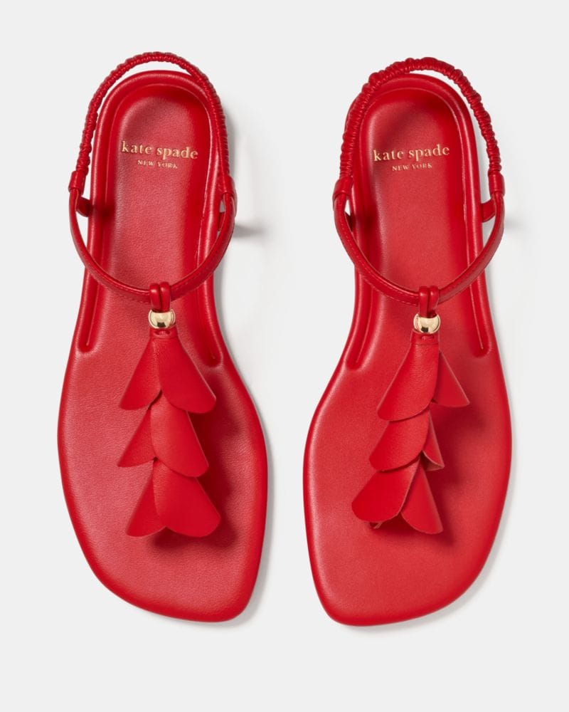 Katespade Lily Thong Sandal Heirloom Tomato