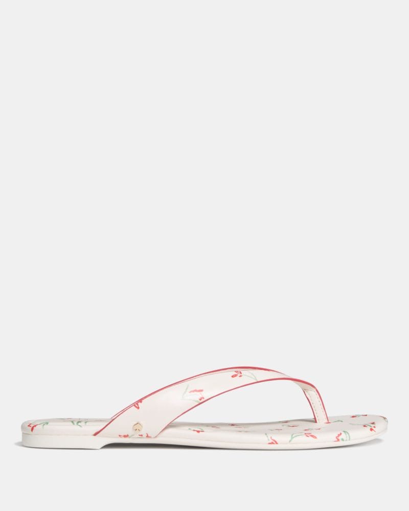 Katespade Sandie Flip Flop Sandal Cream Multi