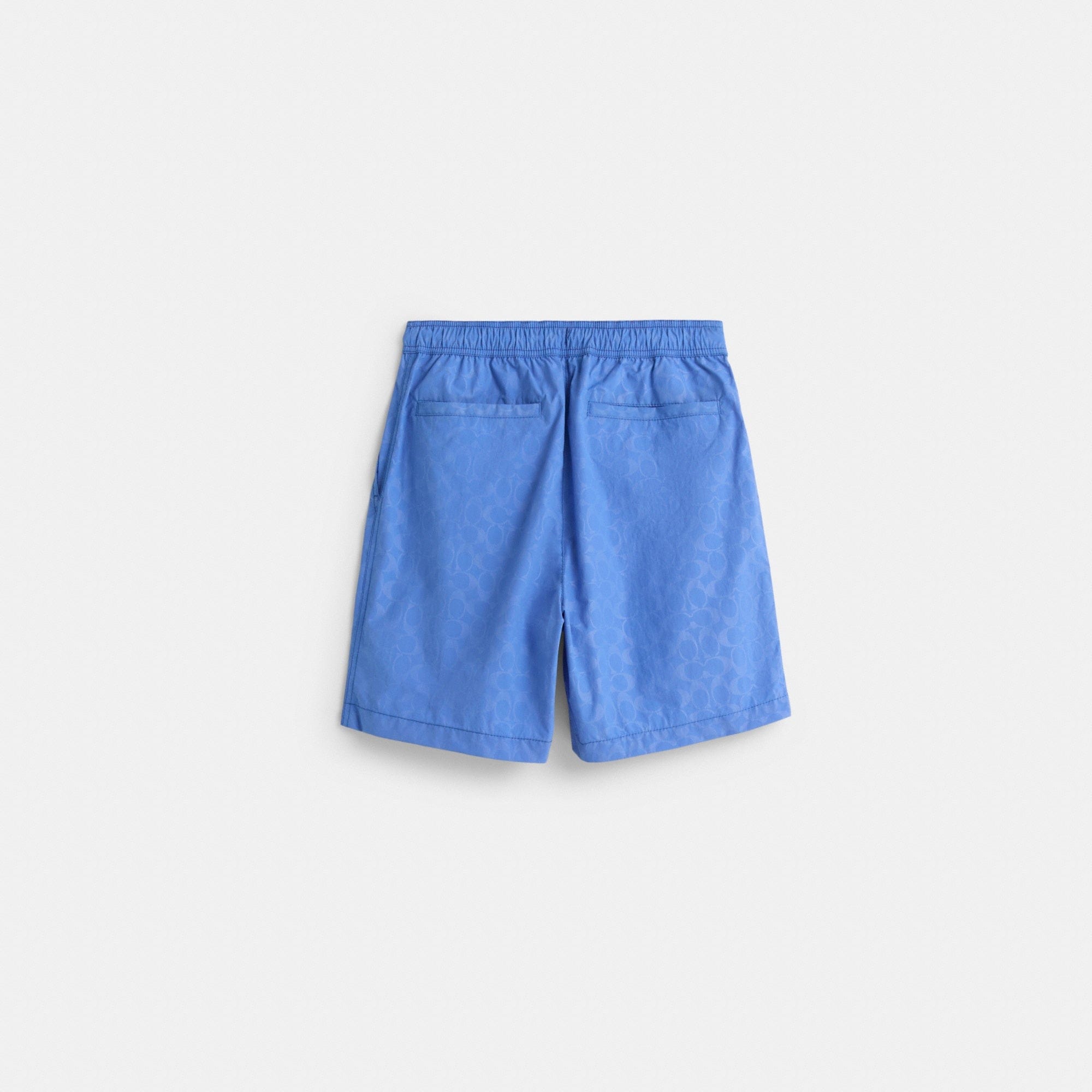 Restored Monochrome Shorts