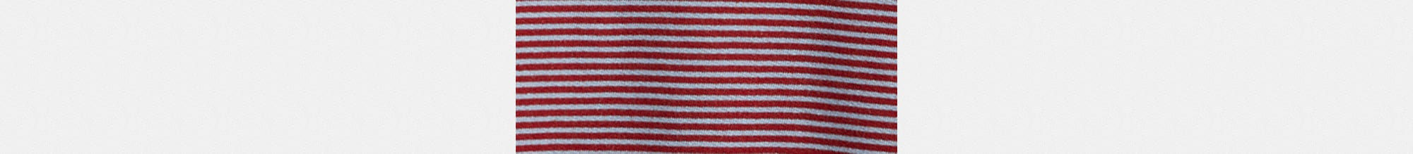 Striped Crewneck Sweatshirt In Organic Cotton