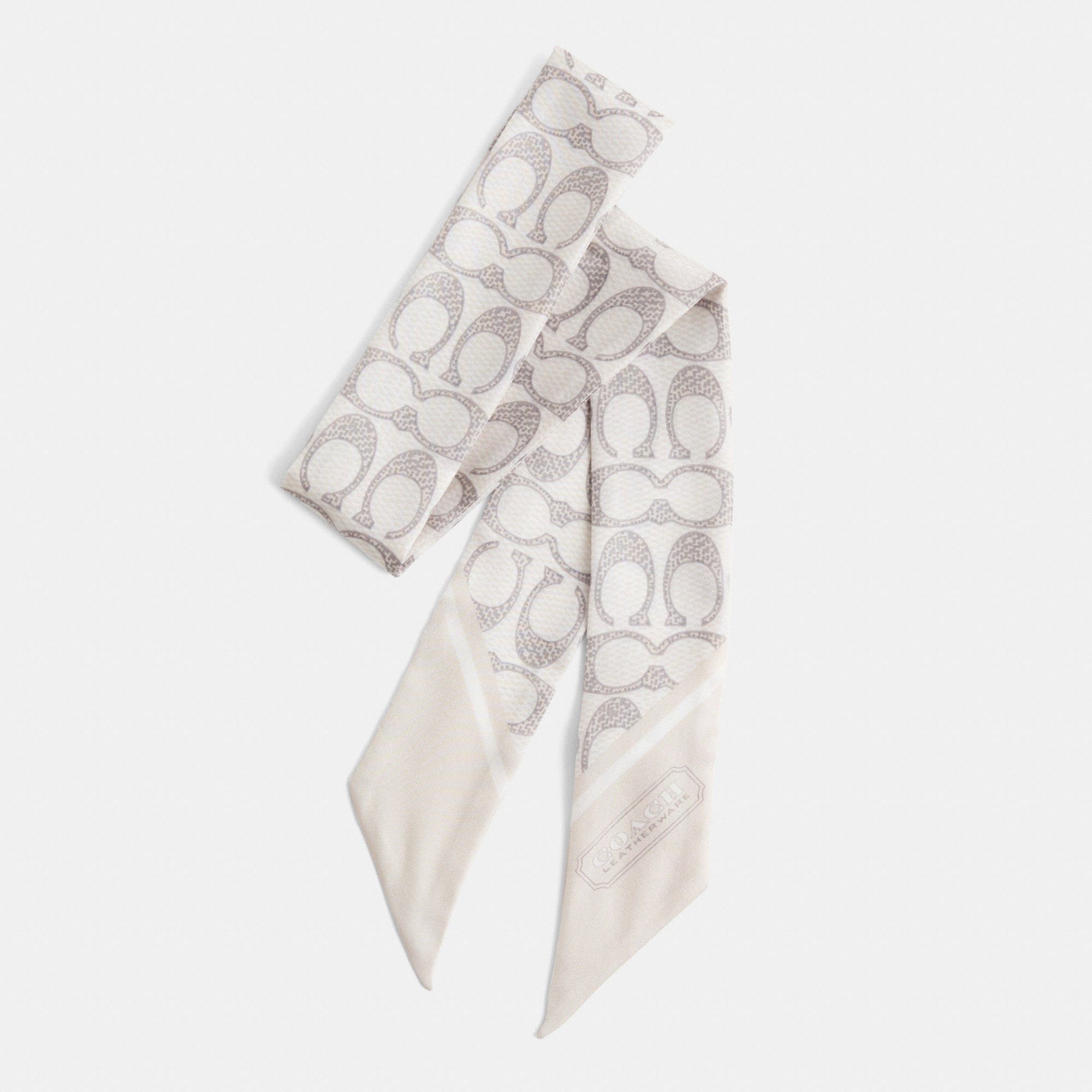 Restored Textured Signature Print Silk Skinny Scarf