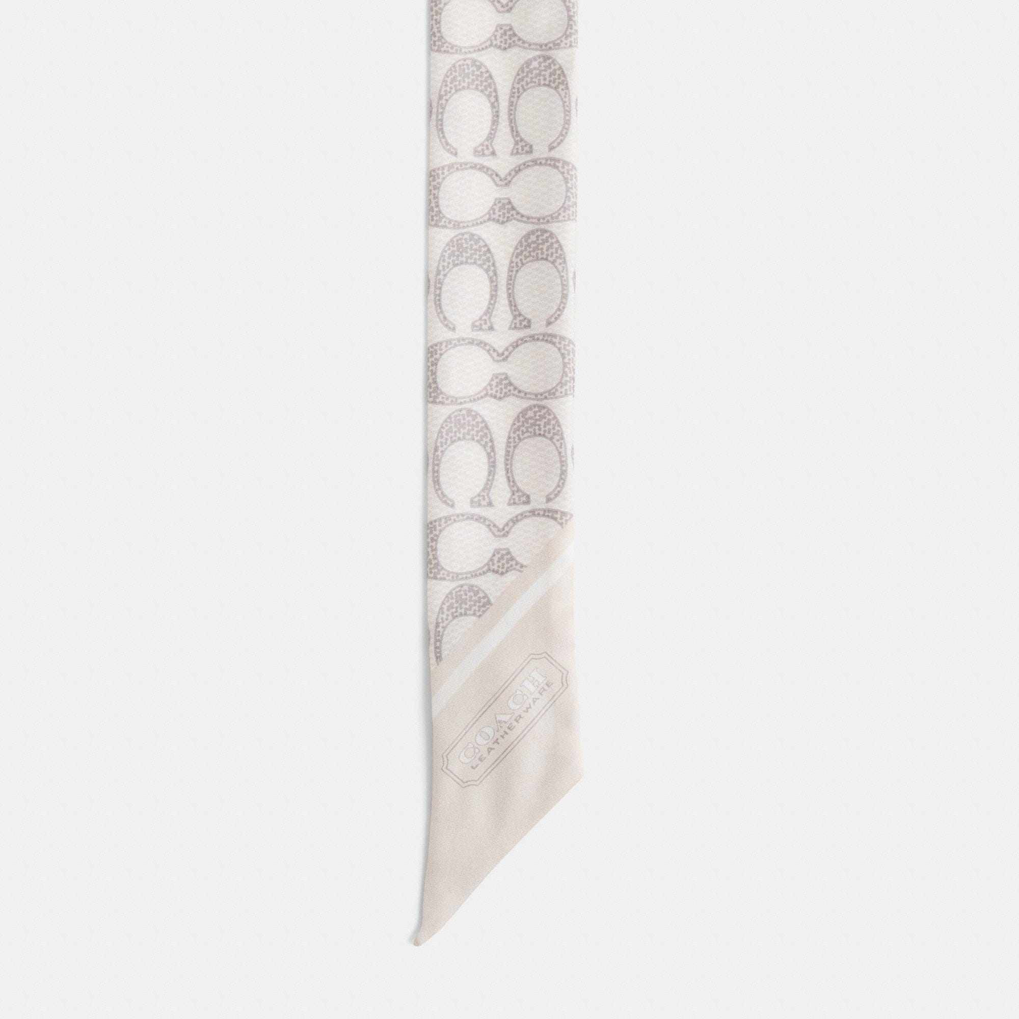 Restored Textured Signature Print Silk Skinny Scarf