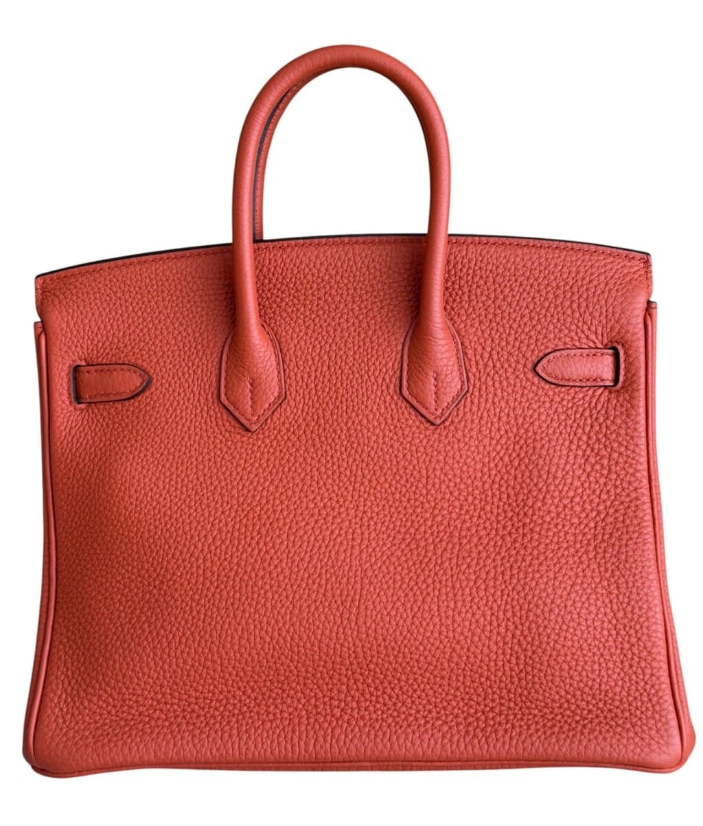 Feu and Cuivre Verso Togo Birkin 25 Palladium Hardware, 2020