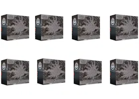 2026 Pokémon Mega Evolution Pitch Black Pokemon Center Elite Trainer Box 8x Lot