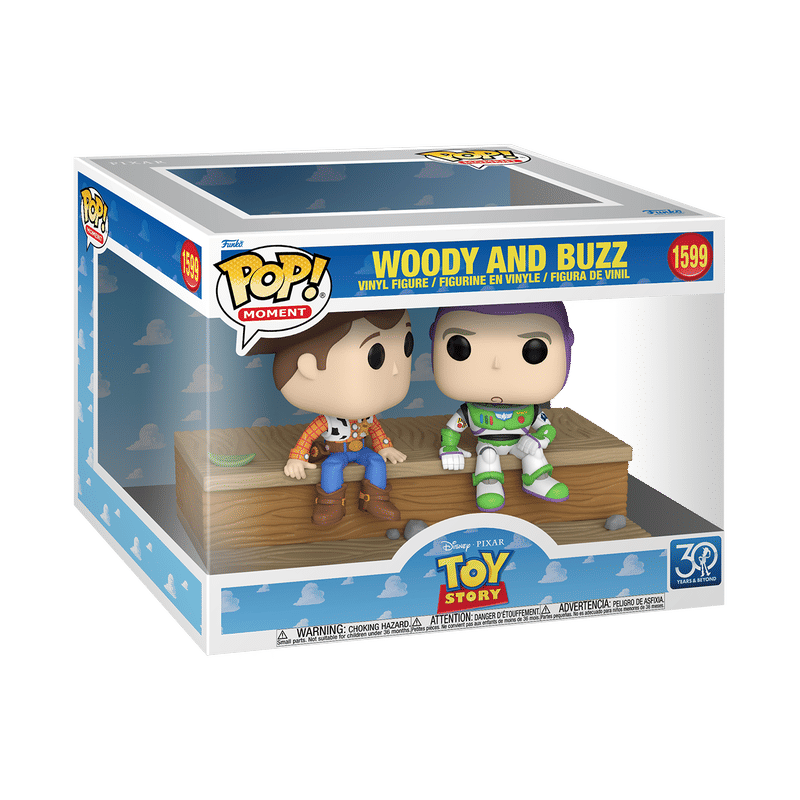 Pop! Moment Woody and Buzz (30th Anniversary)
