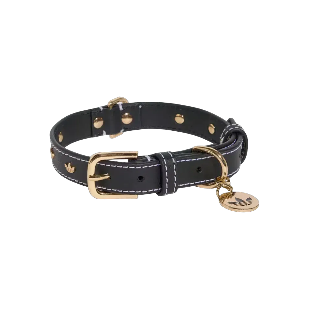 Adidas Pets Collar Black