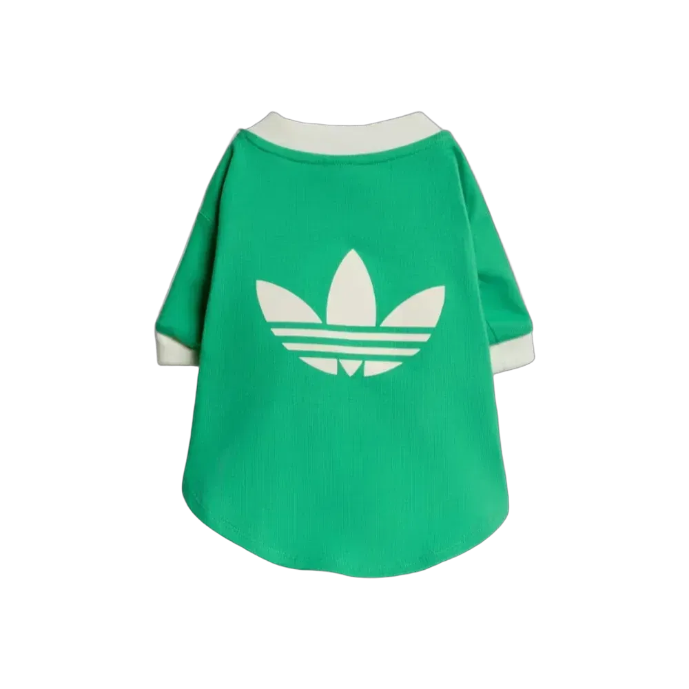 Adidas Pets Cali Tee Flash Lime