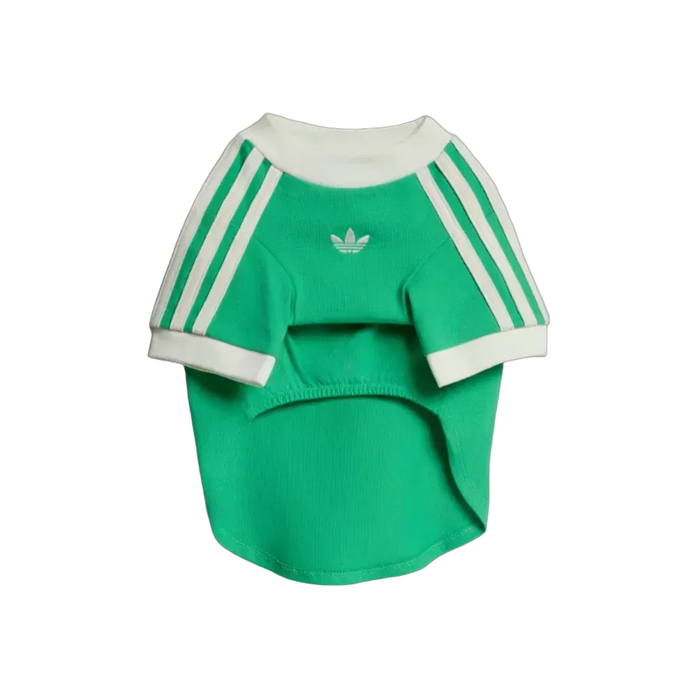 Adidas Pets Cali Tee Flash Lime