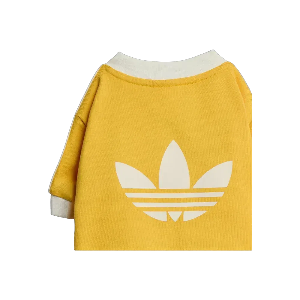 Adidas Pets Cali Tee Bold Gold