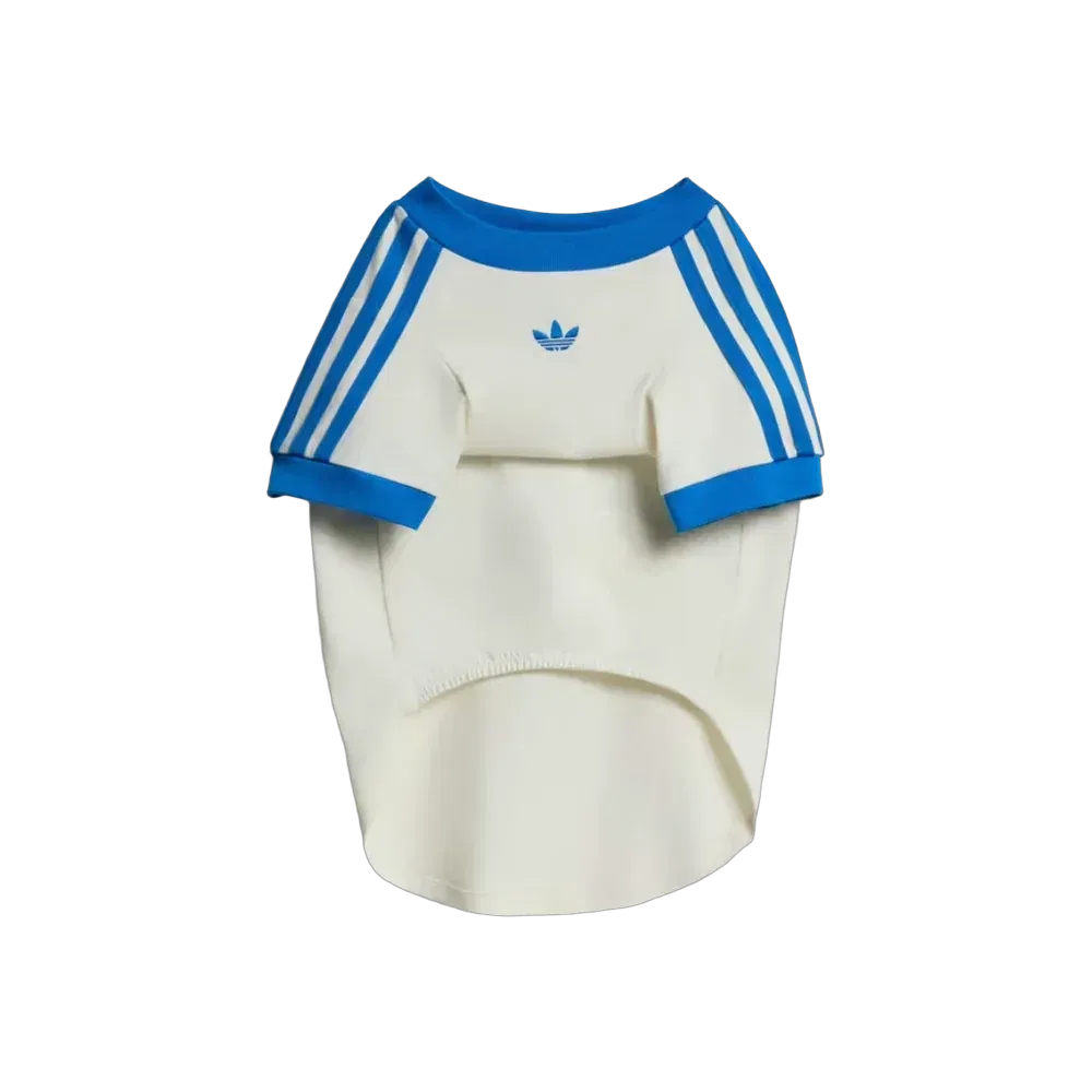 Adidas Pets Cali Tee Off White
