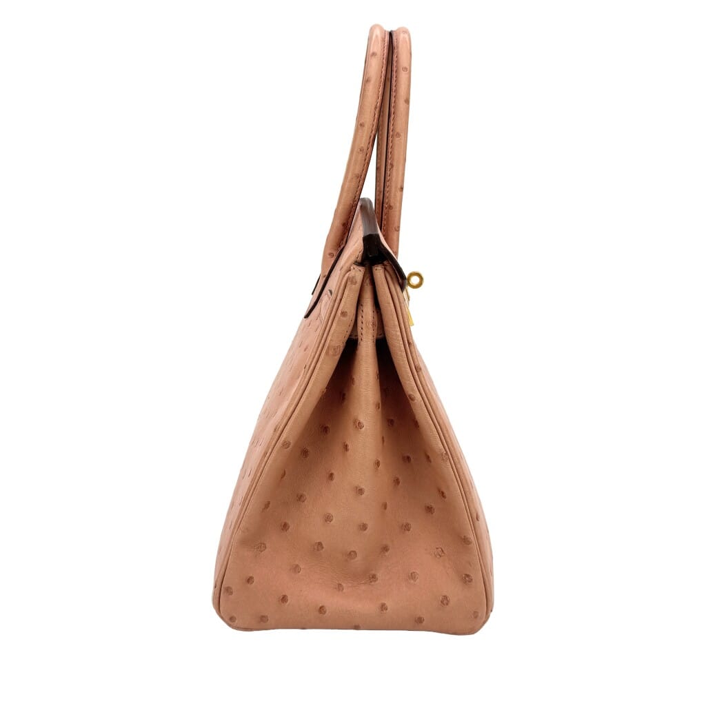 Terre Cuite Ostrich Birkin 30 Gold Hardware, 2015