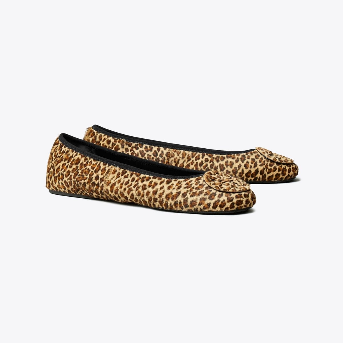 Reva Travel Ballet