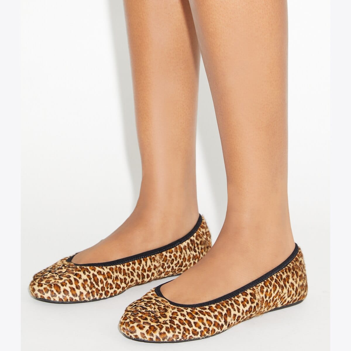 Reva Travel Ballet
