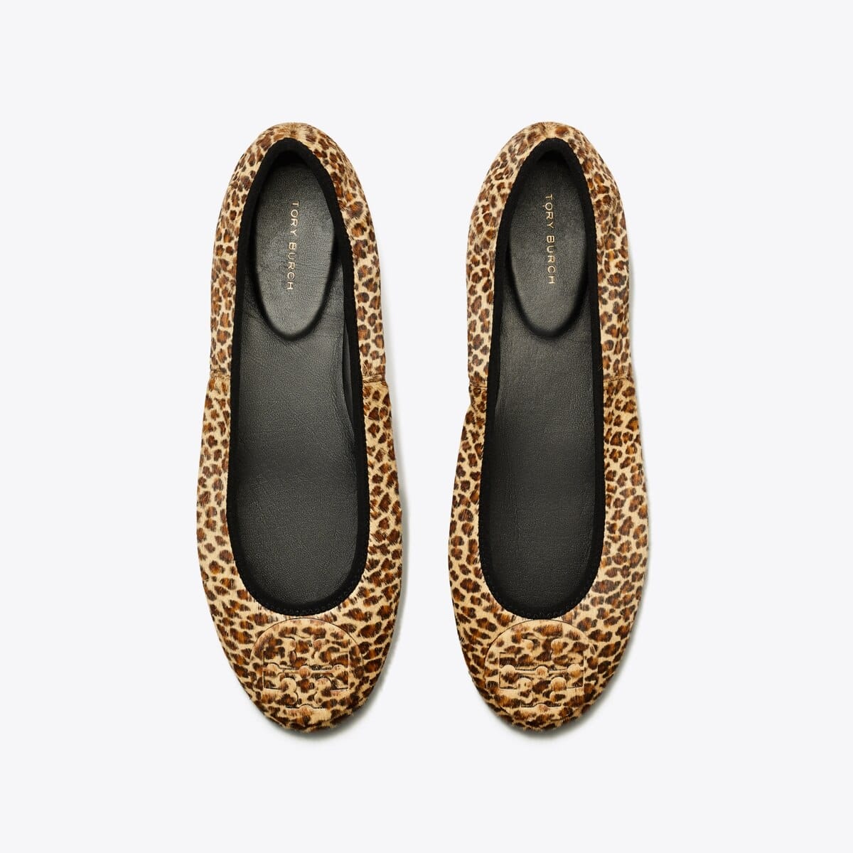Reva Travel Ballet