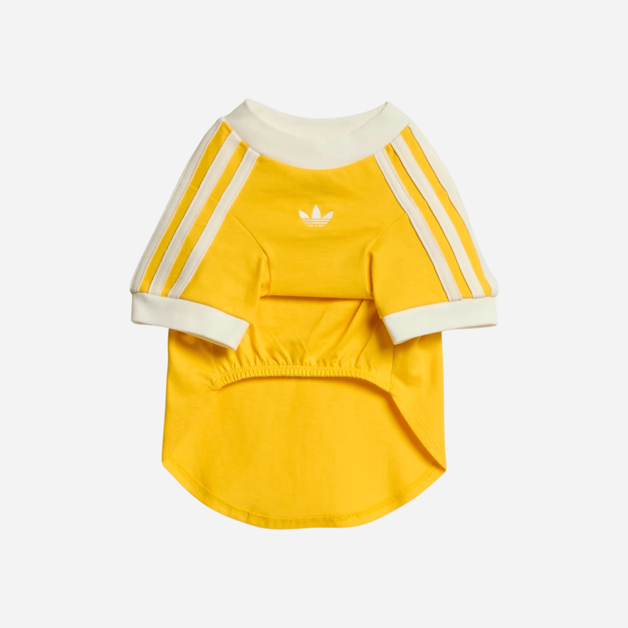 Adidas Pet Cali Tee Bold Gold / Off White