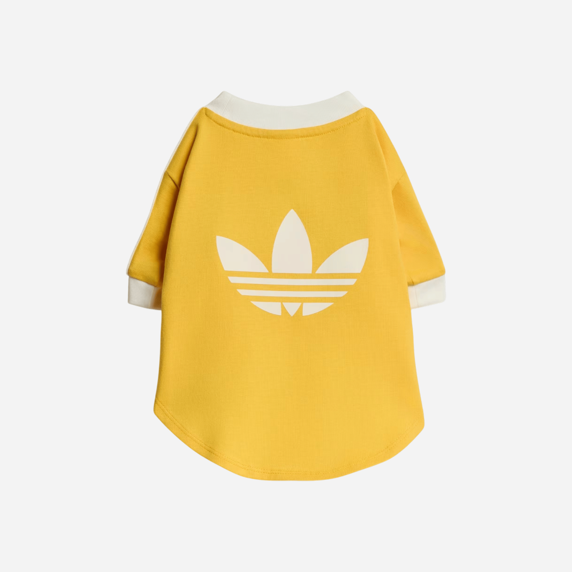 Adidas Pet Cali Tee Bold Gold / Off White