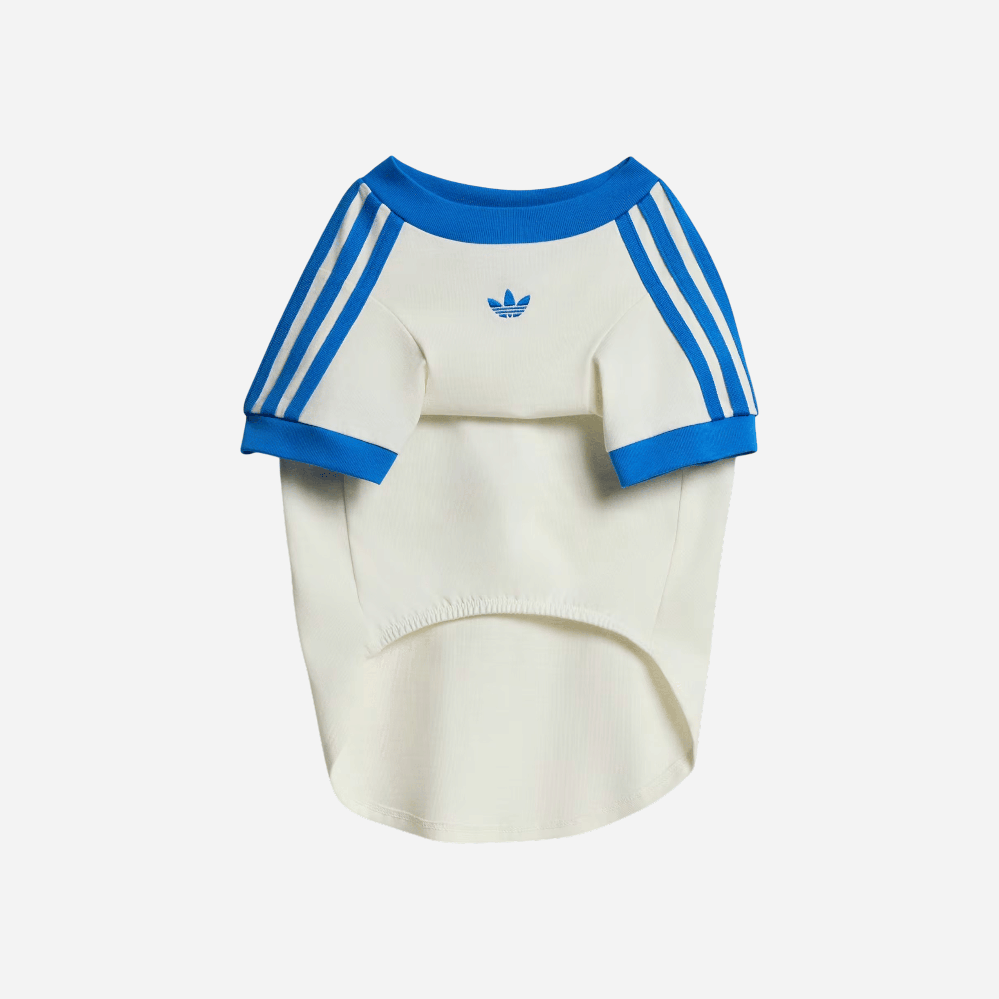Adidas Pet Cali Tee Off White / Blue Bird