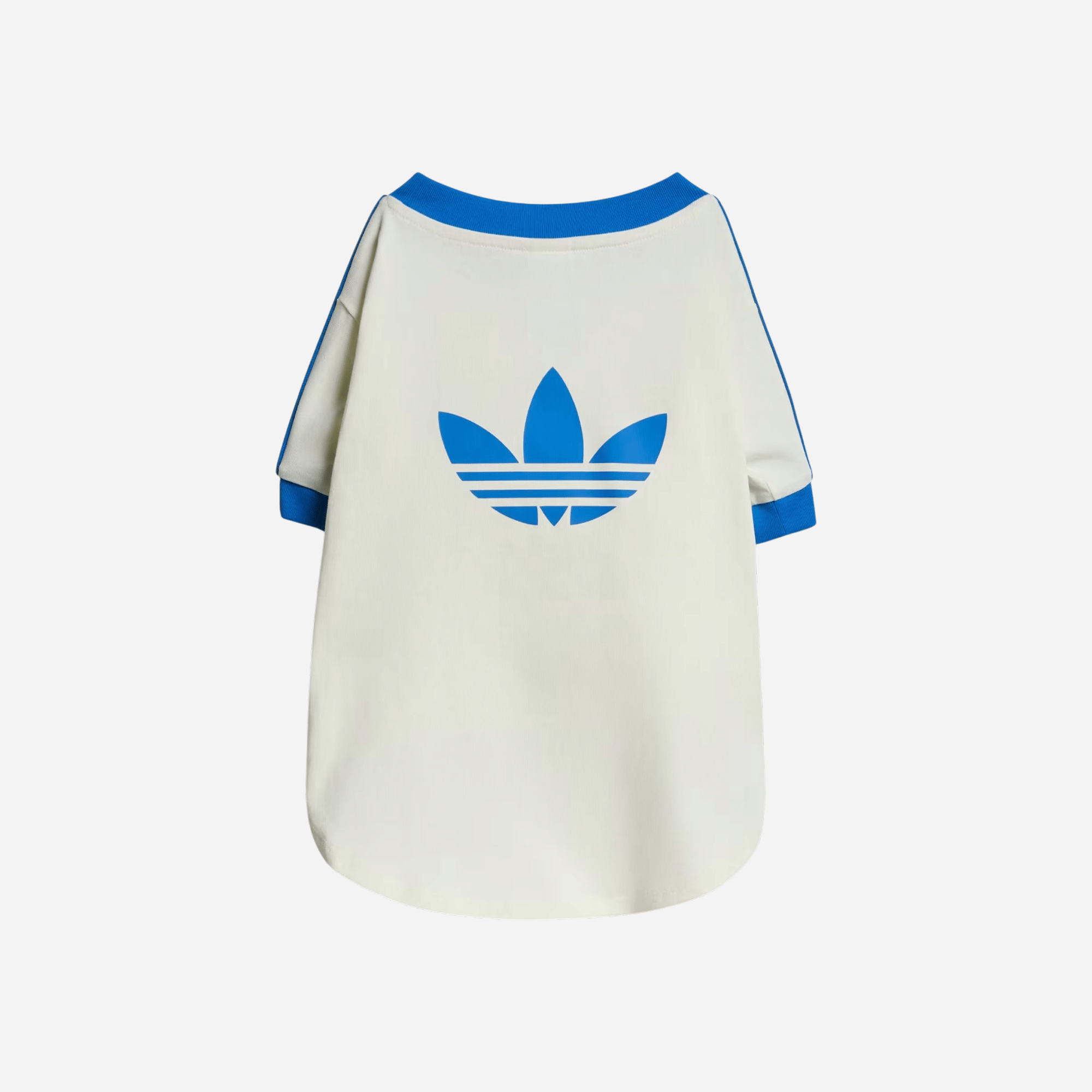Adidas Pet Cali Tee Off White / Blue Bird