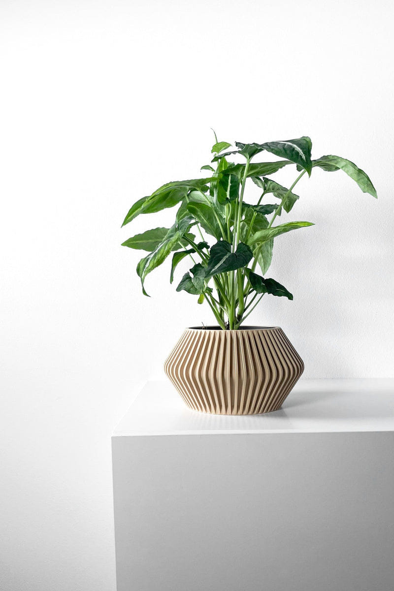 Angular Bud Planter