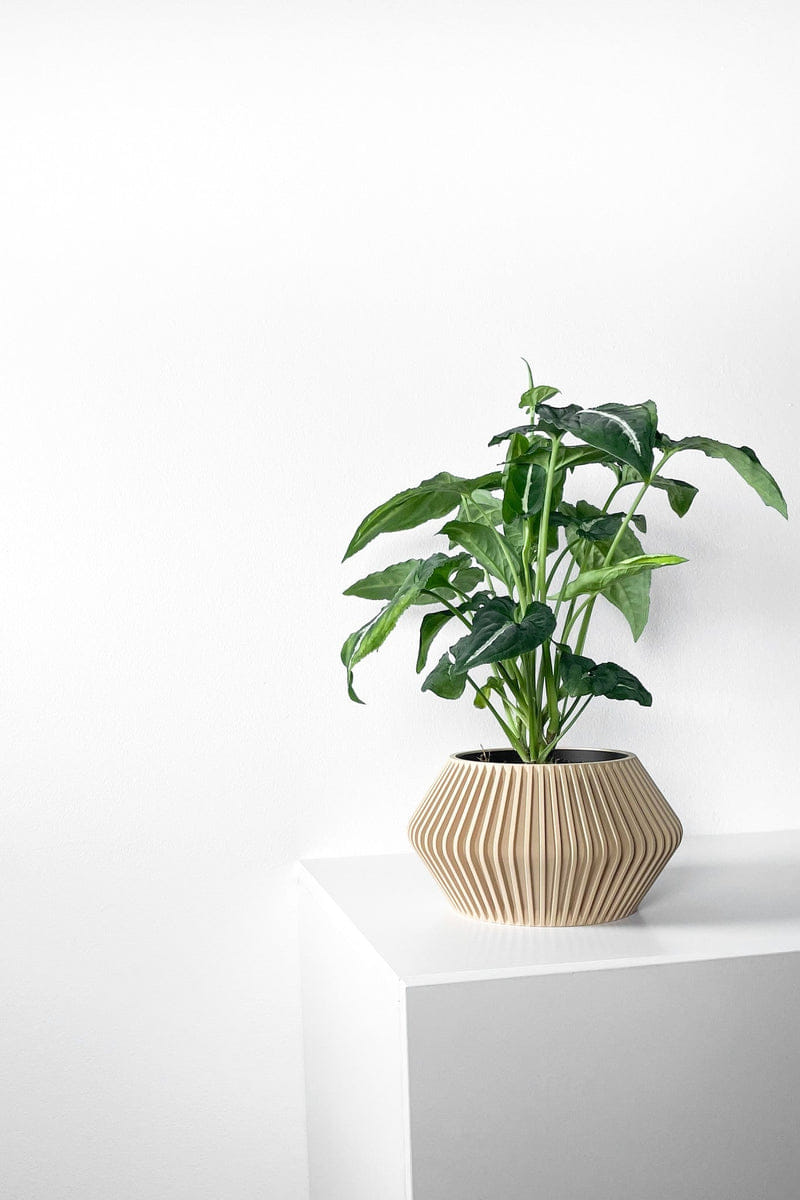 Angular Bud Planter
