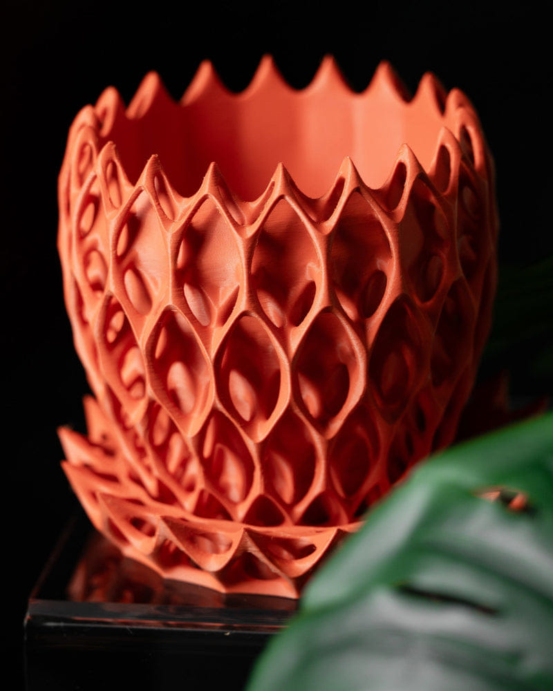 Arcade Lattice Planter