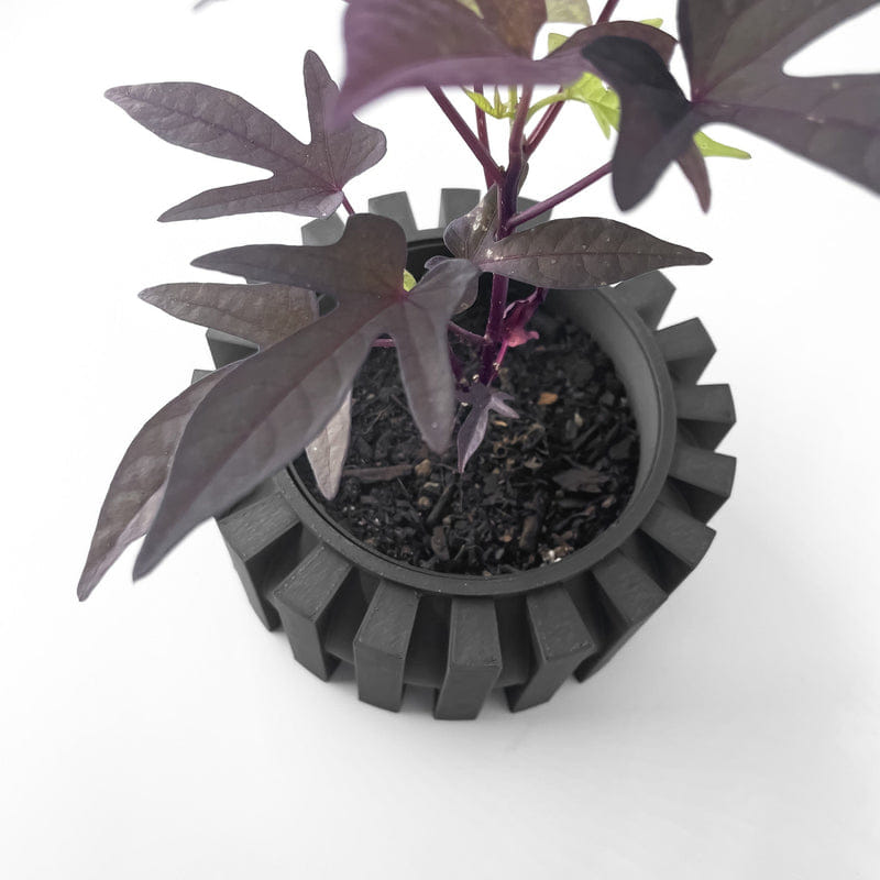 Cog Rim Planter