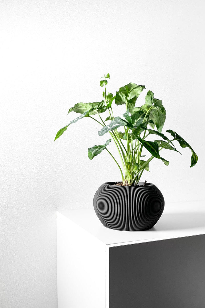 Mini Rib Planter