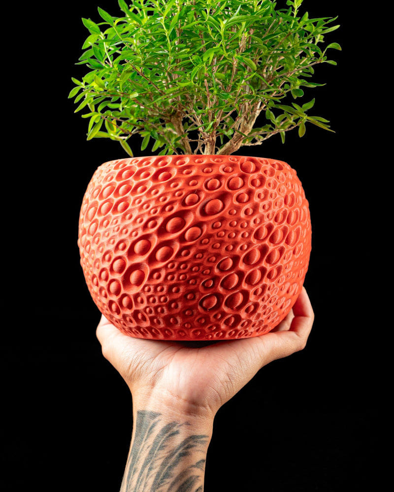 Pore Bloom Planter