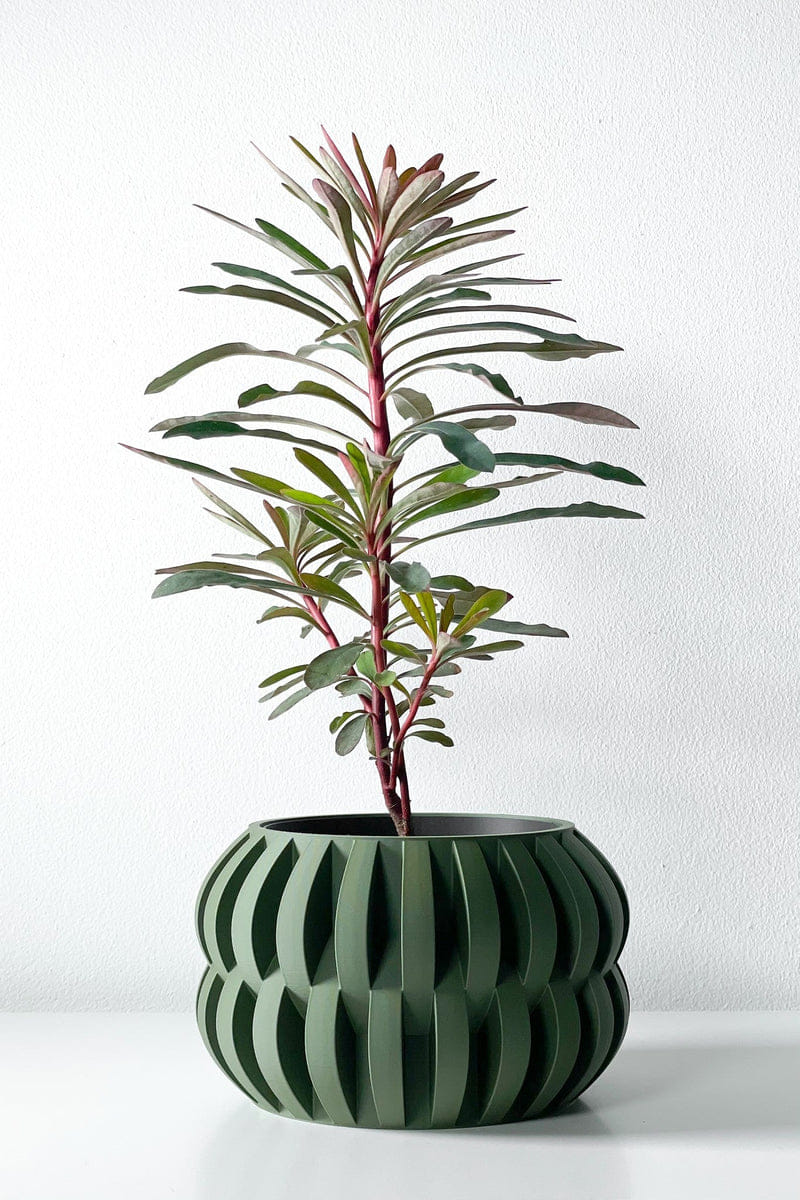 Rib Bud Planter