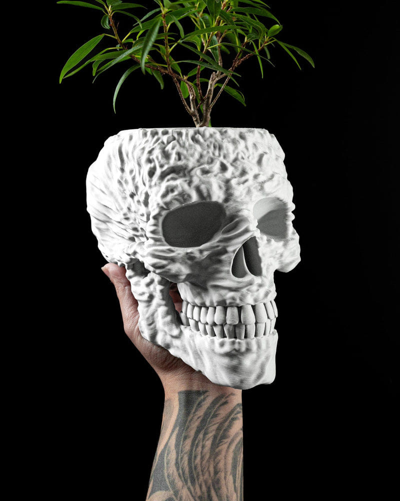Skull Planter