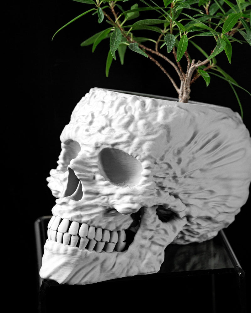 Skull Planter