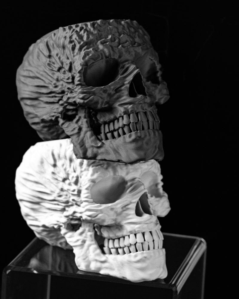 Skull Planter
