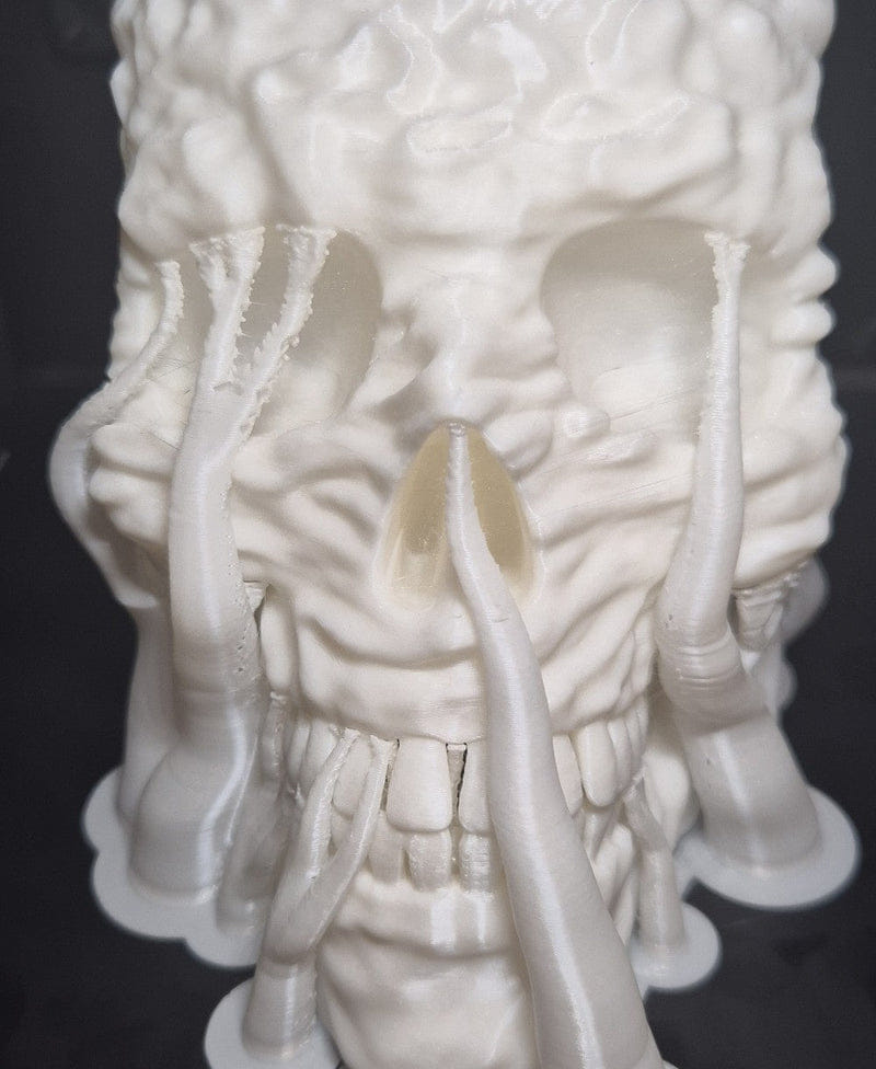 Skull Planter