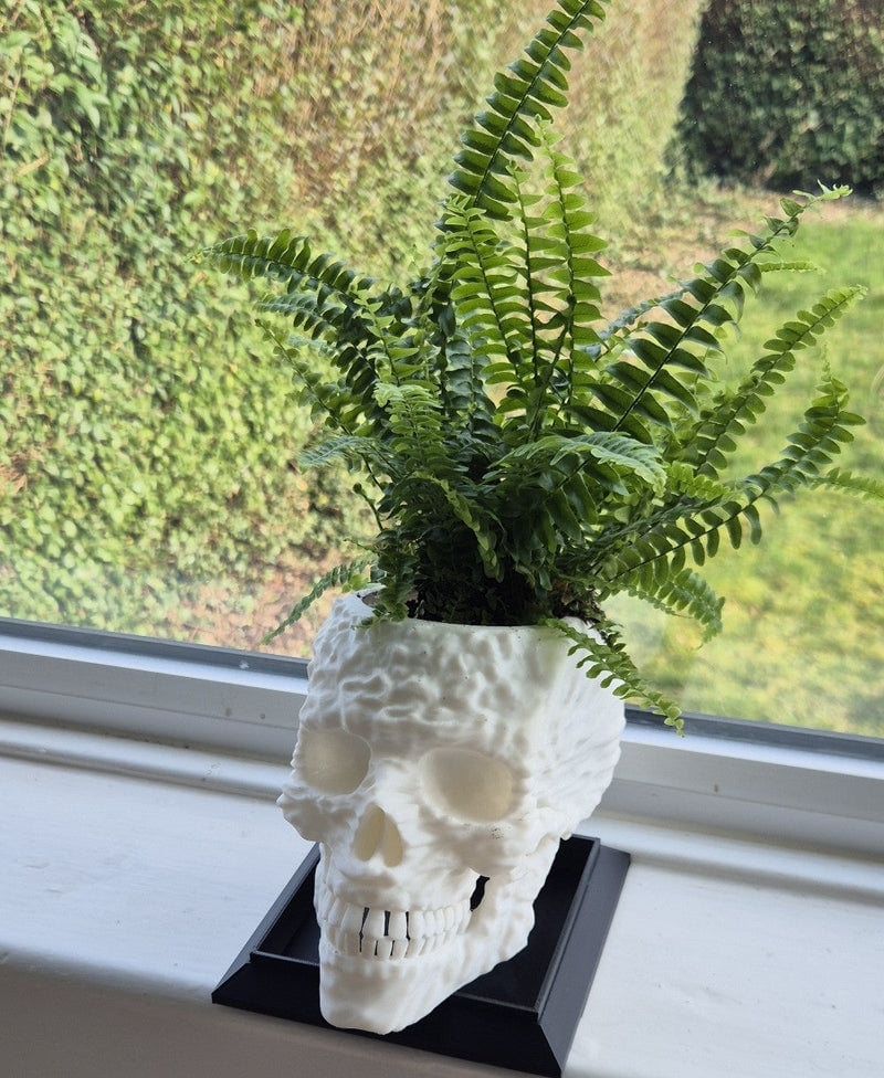Skull Planter