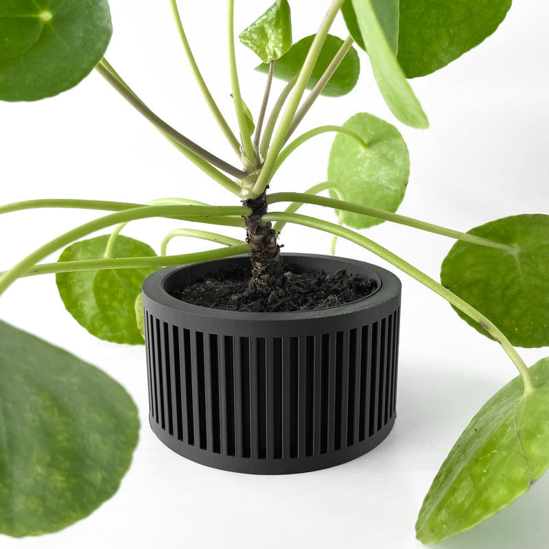 Slot Cage Planter