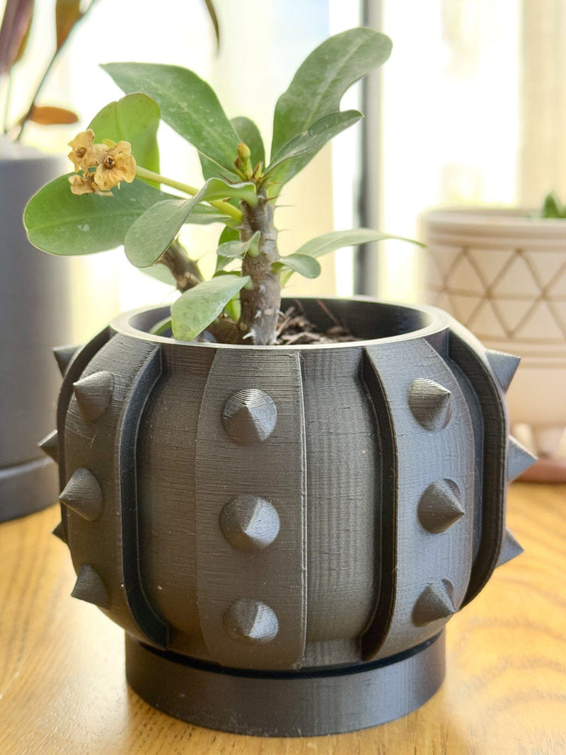 Spike Stud Planter