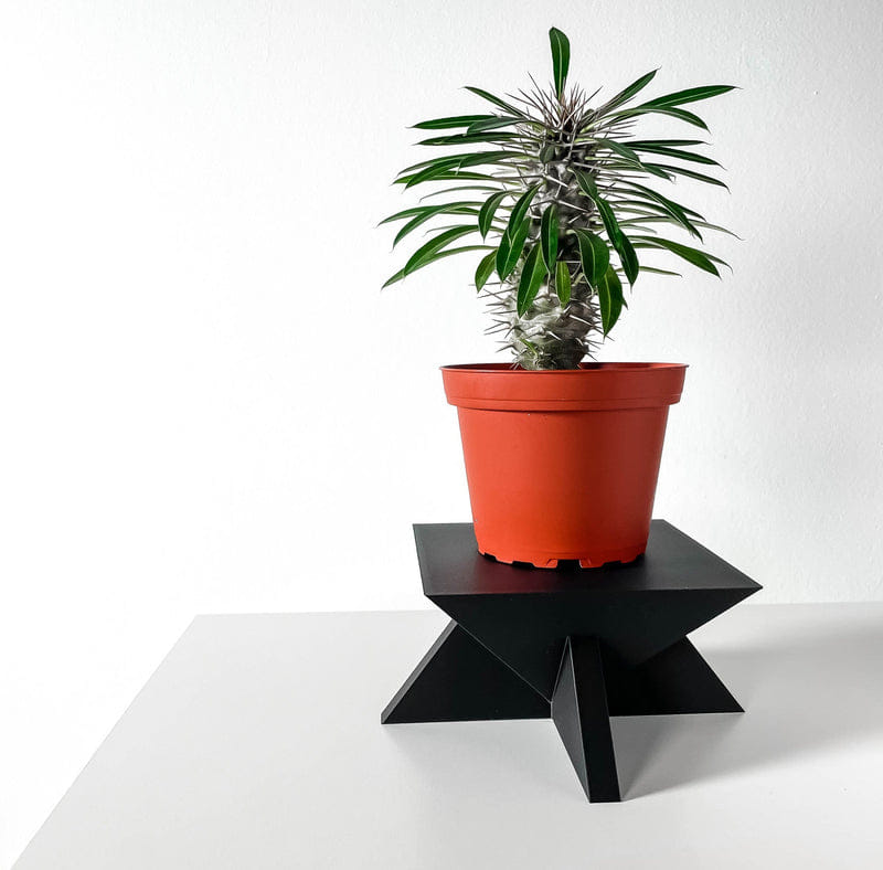 Star Base Display Stand