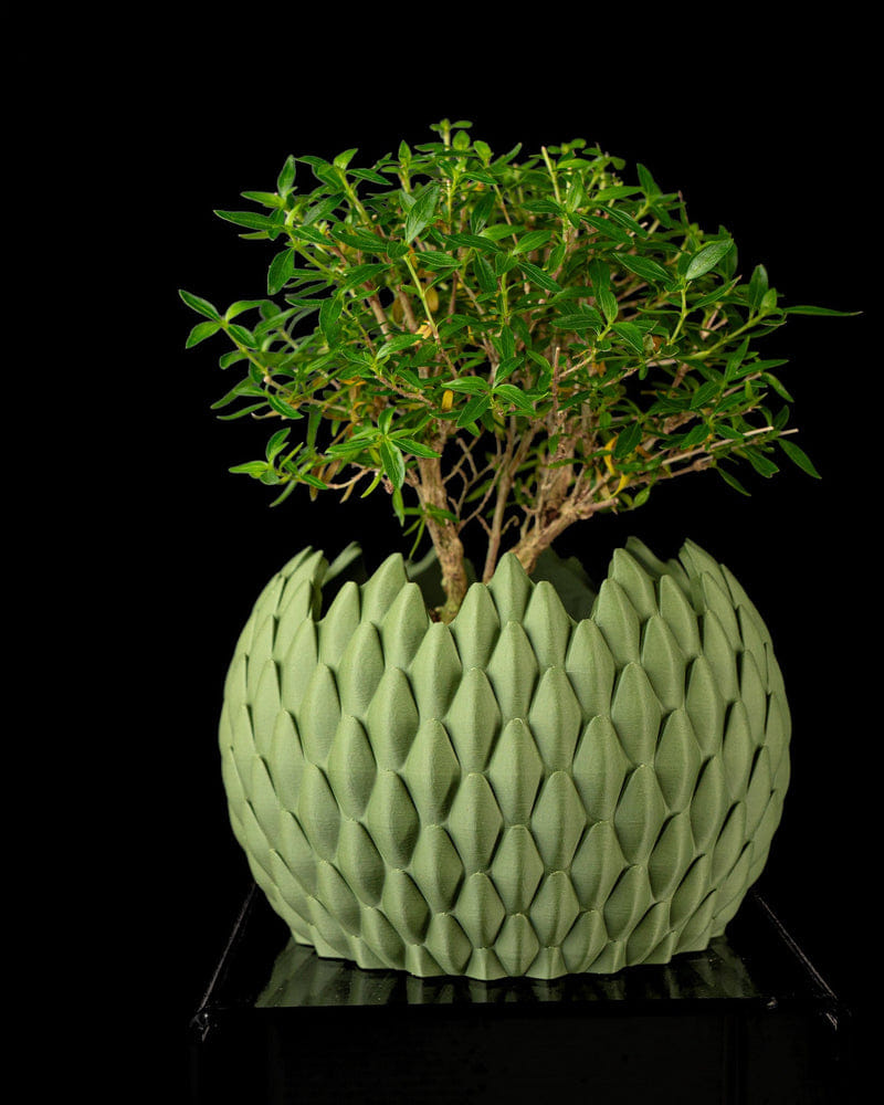 Teardrop Scale Planter