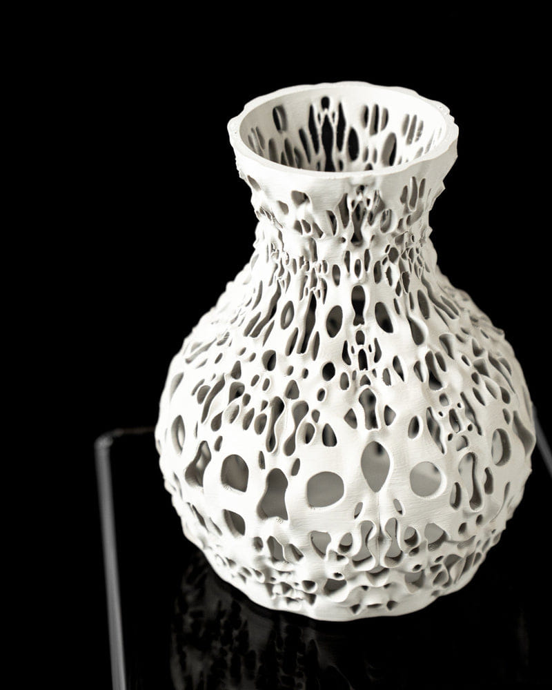 Voronoi Web Vase